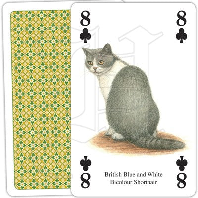 Playing Cards Cats of the World