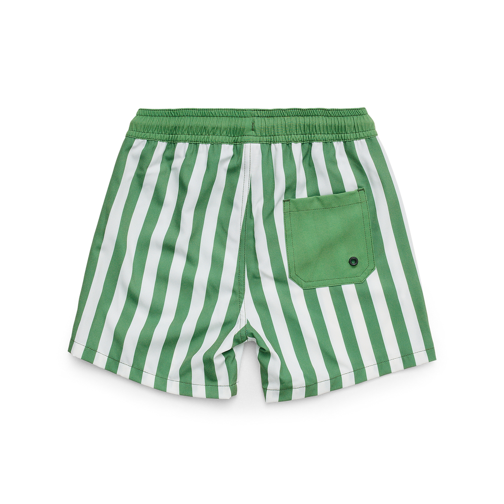 Board Short - Coastal Stripe