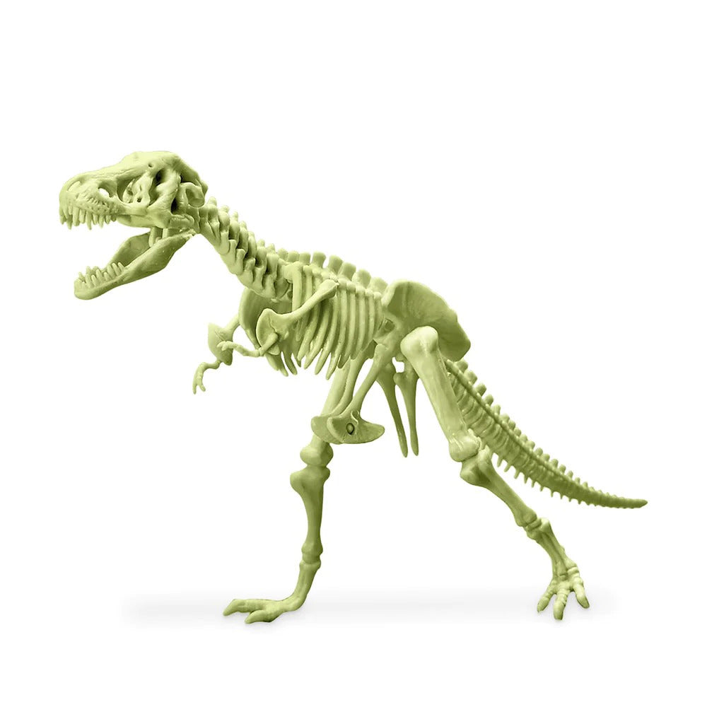 KidzLabs- Glowing T Rex Skeleton