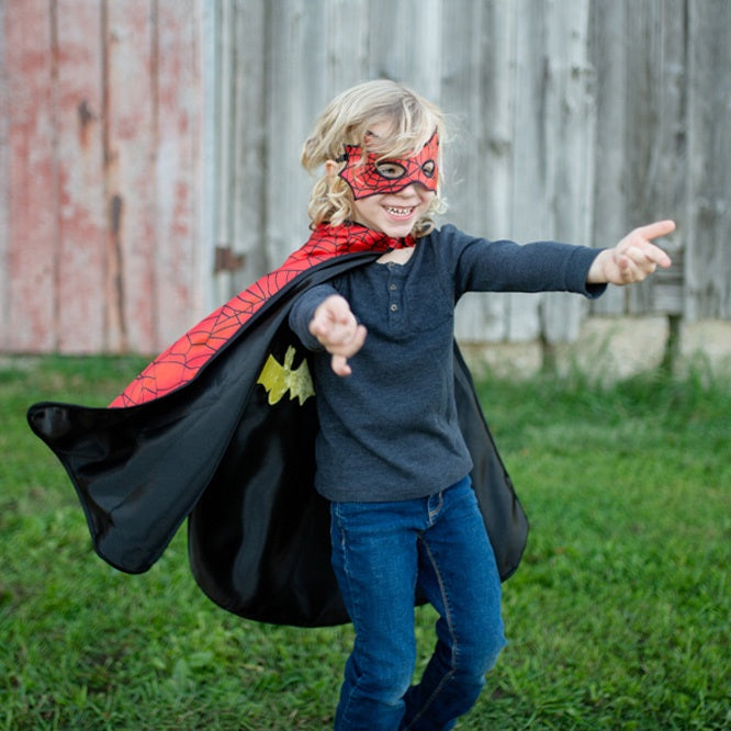 Reversible Spider & Bat Cape with Mask